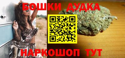 мдпв Новодвинск