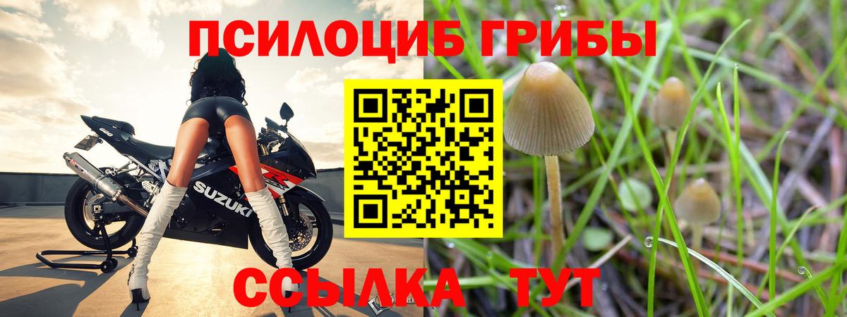 Псилоцибиновые грибы GOLDEN TEACHER  Вход с VPN  Сосновый Бор 