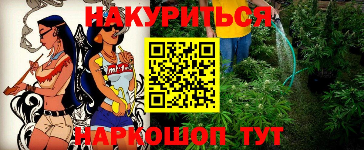 Бошки Шишки планчик Сосновый Бор